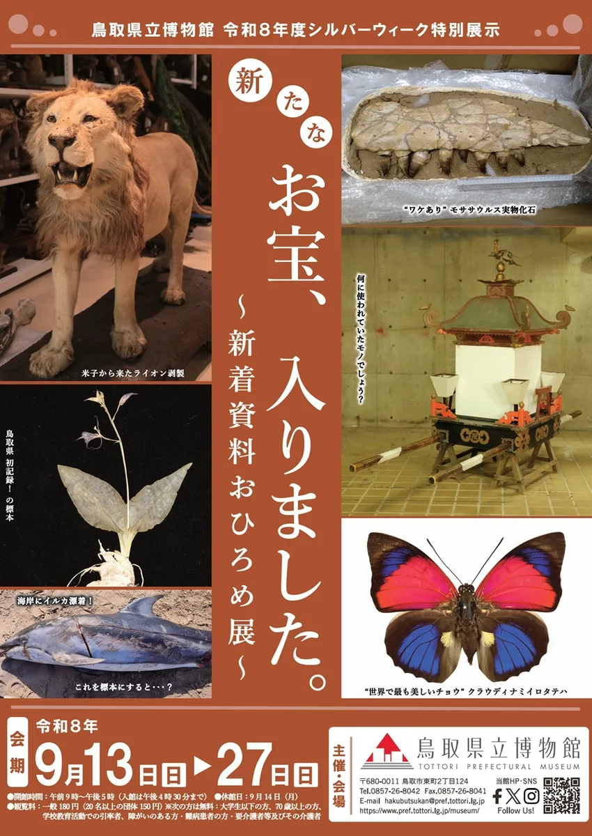新たなお宝、入りました。の掲載画像